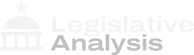 Virginia Institute for Public Policy logo